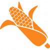 Кукурудза
