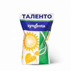 Насіння соняшника ТАЛЕНТО