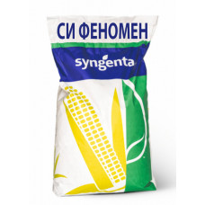 Насіння кукурудзи Си Феномен